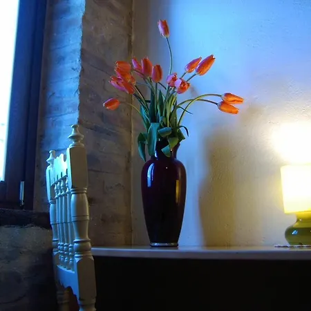 Bed & Breakfast Mulini Venturi Saludecio